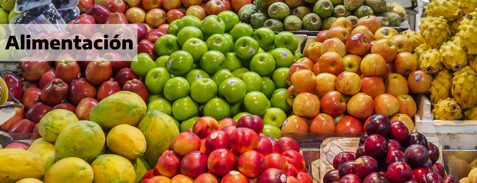 Alimentación